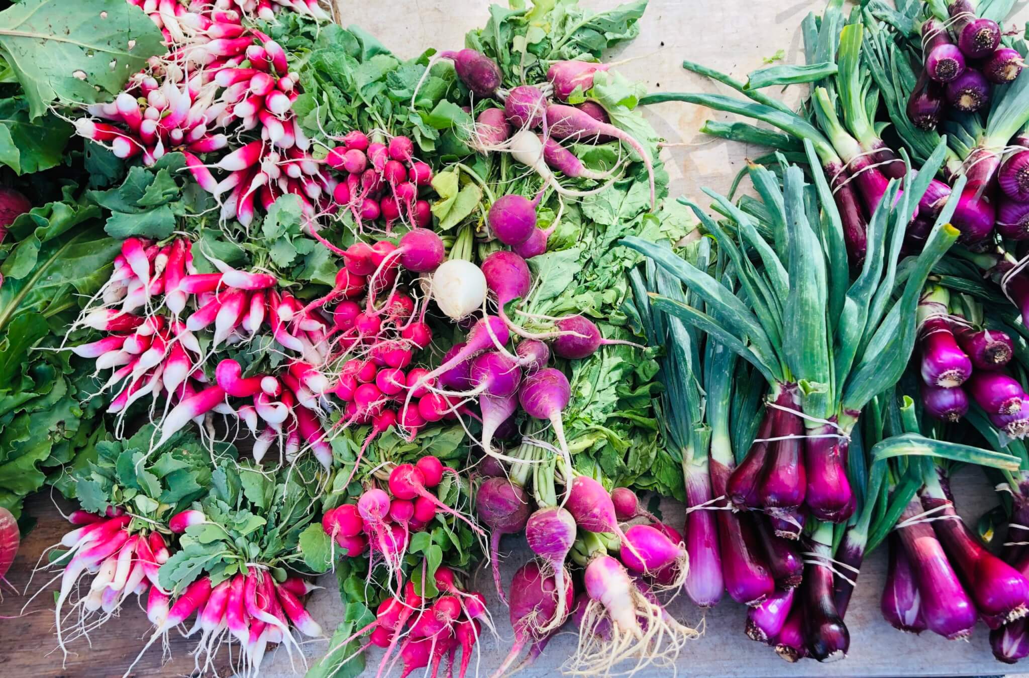 Healthy Spring Recipes for Kids + Spring Nutrition Tips - Sharon Palmer, The Plant Powered Dietitian