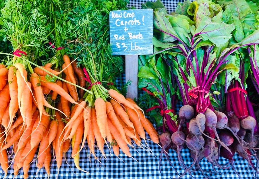 Planet-Friendly Eating Tips for Earth Day + Earth Friendly Recipes - Sharon Palmer, The Plant Powered Dietitian