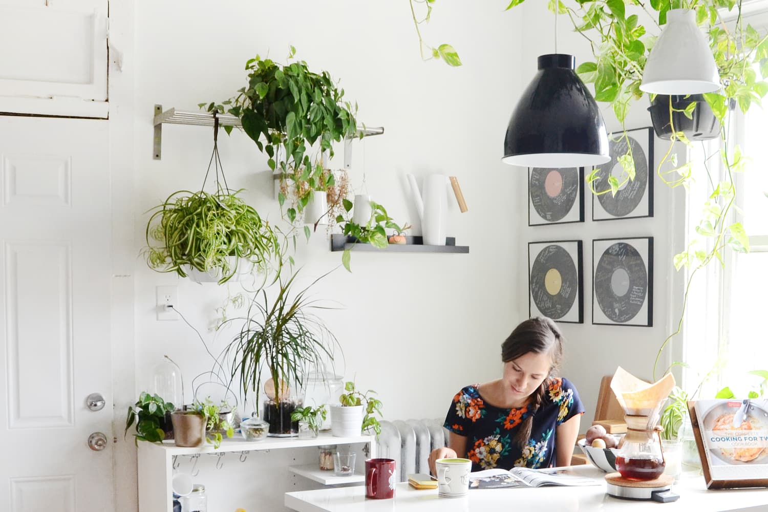 The One Houseplant You Need to Be Putting in Your Kitchen (It'll Thrive!)