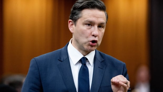 ANALYSIS | Just how far is Pierre Poilievre willing to take the notwithstanding clause? | CBC News