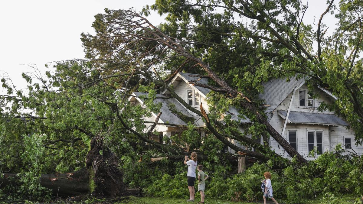 At least 15 dead in U.S. tornadoes, storms
