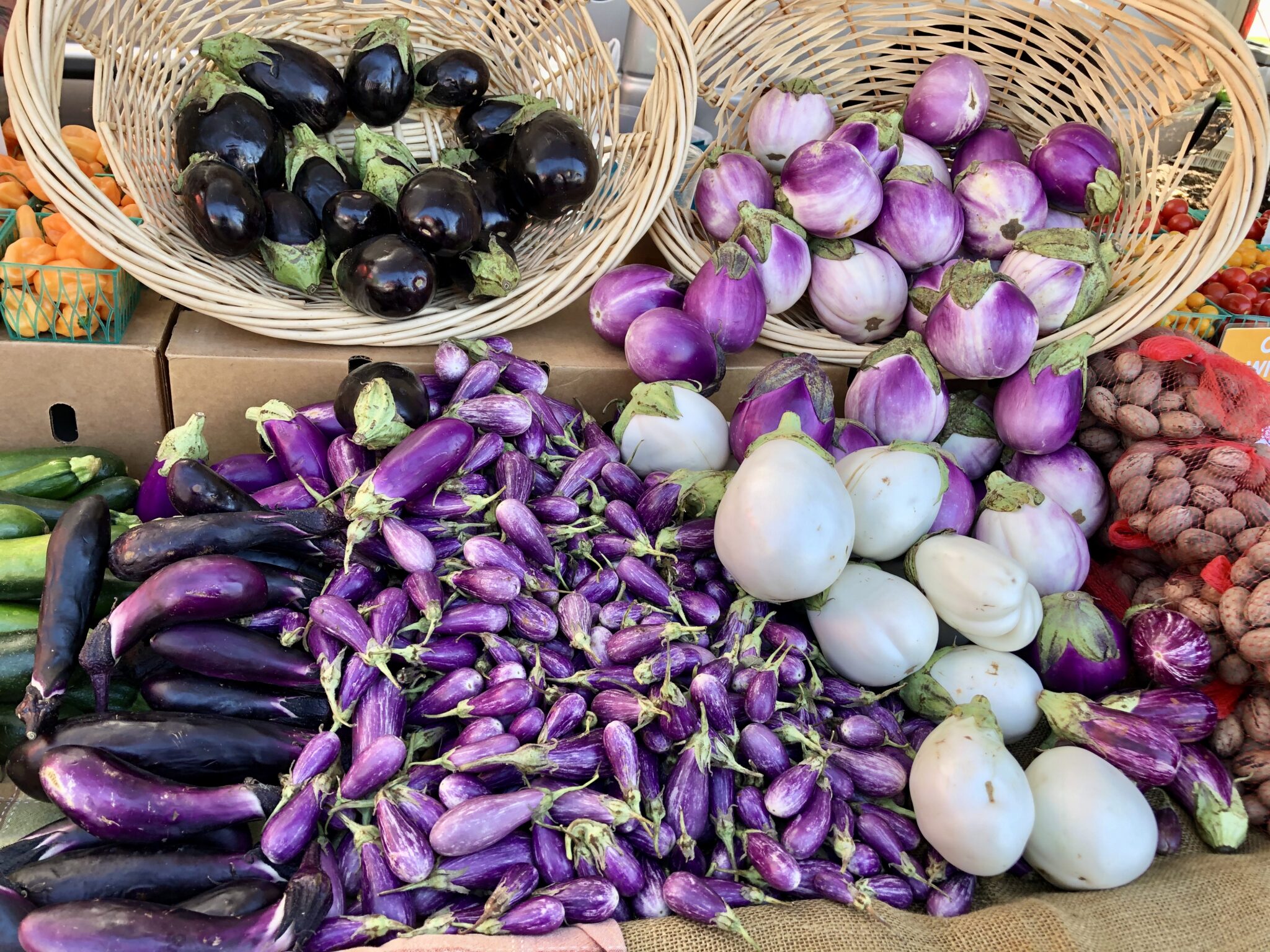 How Can I Make Choices That Support Food Sustainability? - Sharon Palmer, The Plant Powered Dietitian