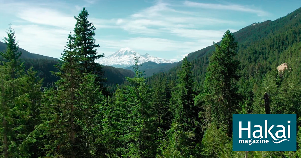 Not Too Wet To Burn | Hakai Magazine