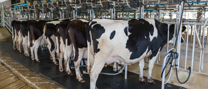 Q&A on H5N1 Bird Flu - FactCheck.org