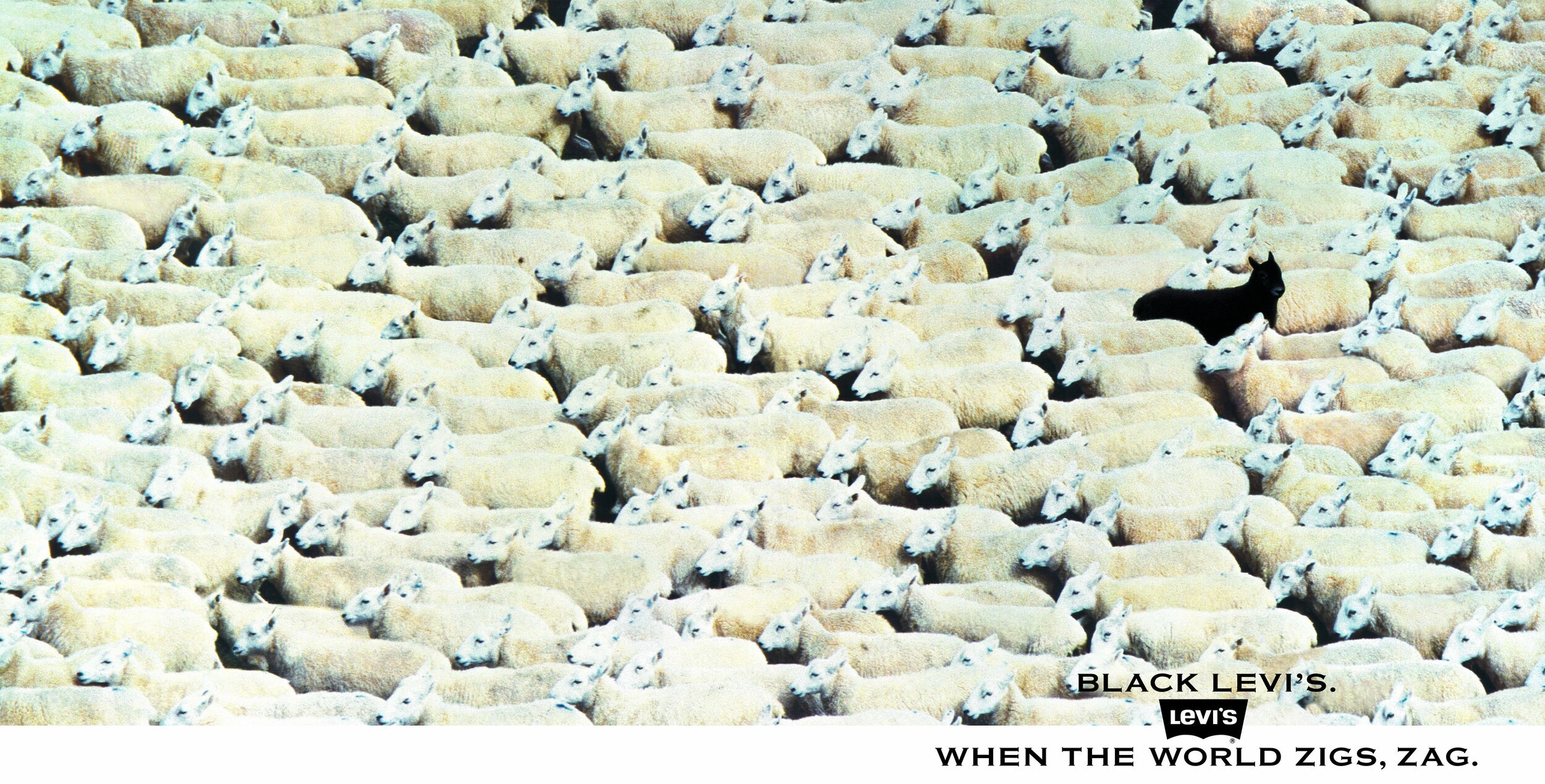 Unlocking marketing effectiveness through creativity