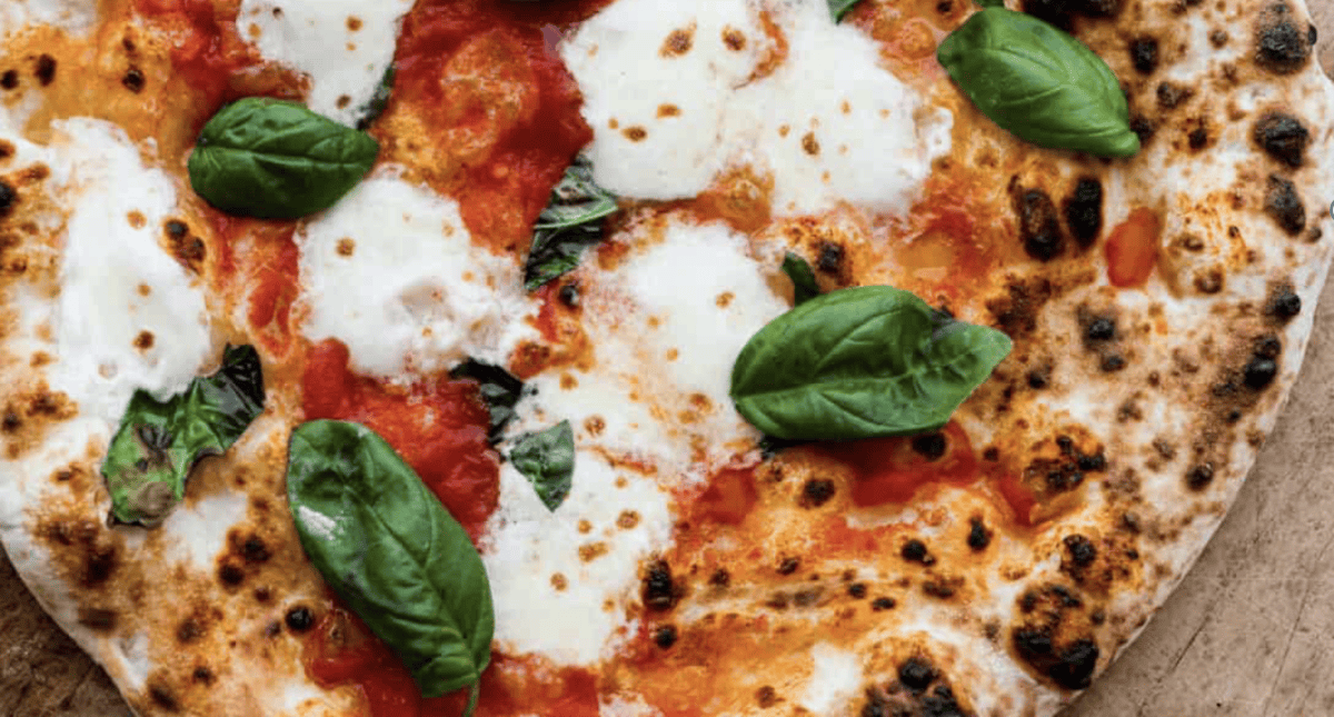 Wood-Fired Pizza Dough - The Recipe Critic