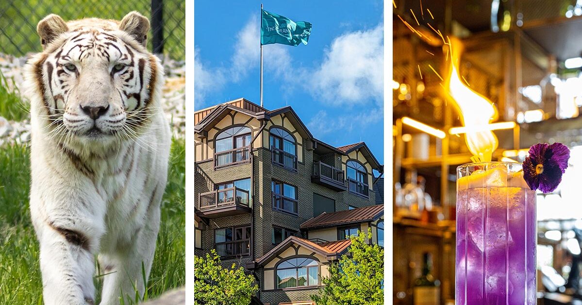 Real Life Magic: A Whimsical Stay at Nemacolin Resort