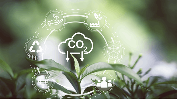 Shell Makes FID on 2 Carbon Storage Projects in Alberta