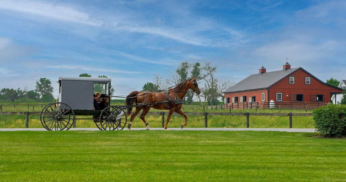 Unwind in Amish Country: Lancaster PA’s Peaceful Retreat