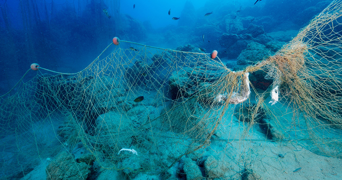 Using Trash to Track Other Trash | Hakai Magazine