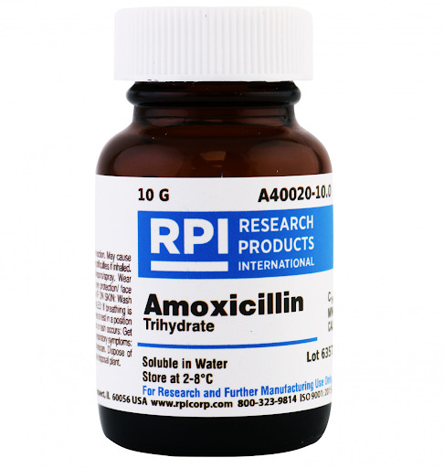 Can Amoxicillin Treat UTI? Learn The Truth Here | Credihealth