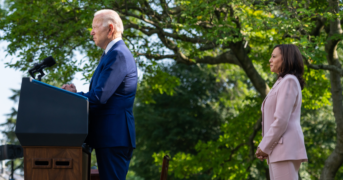 Joe Biden or Kamala Harris: Which Risk Is the Better Risk?