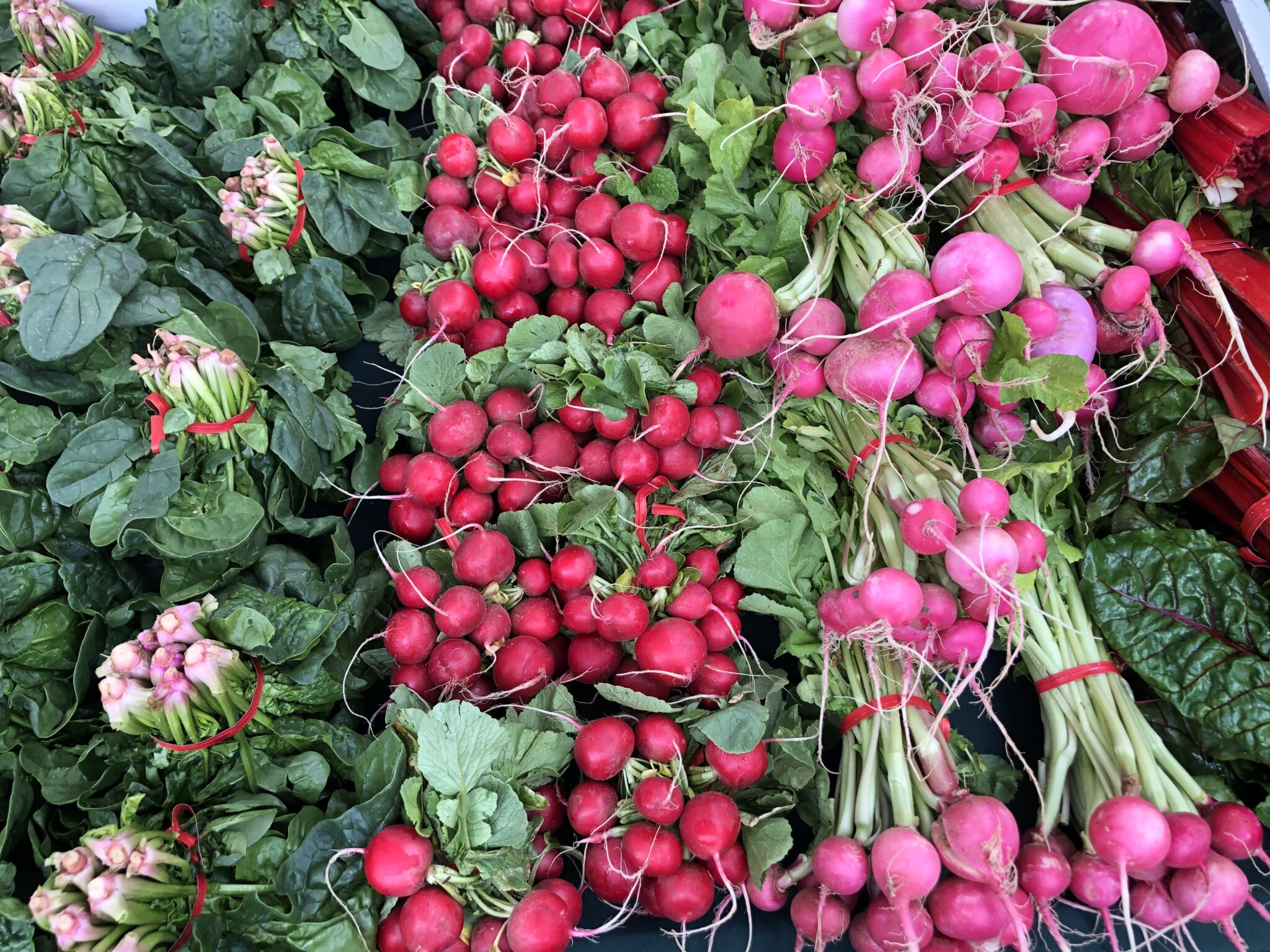 Top 6 Farmers Market Shopping Tips - Sharon Palmer, The Plant Powered Dietitian