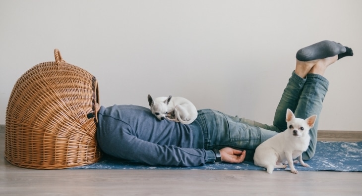 20 Strange Ways to Make Money