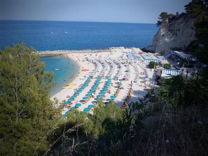 Balneari divisi sullo sciopero, Assobalneari non aderisce - Notizie - Ansa.it