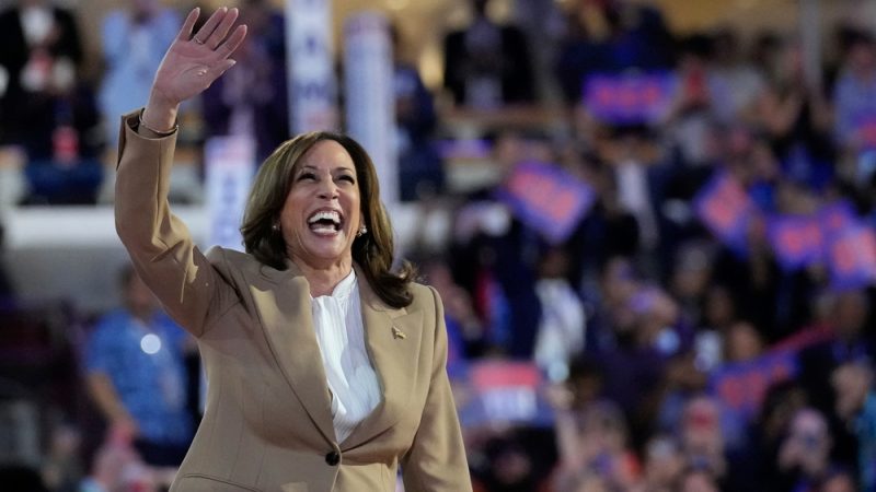 'The Chicago DNC shows how centre-left politics can be fun, diverse and dynamic' - LabourList