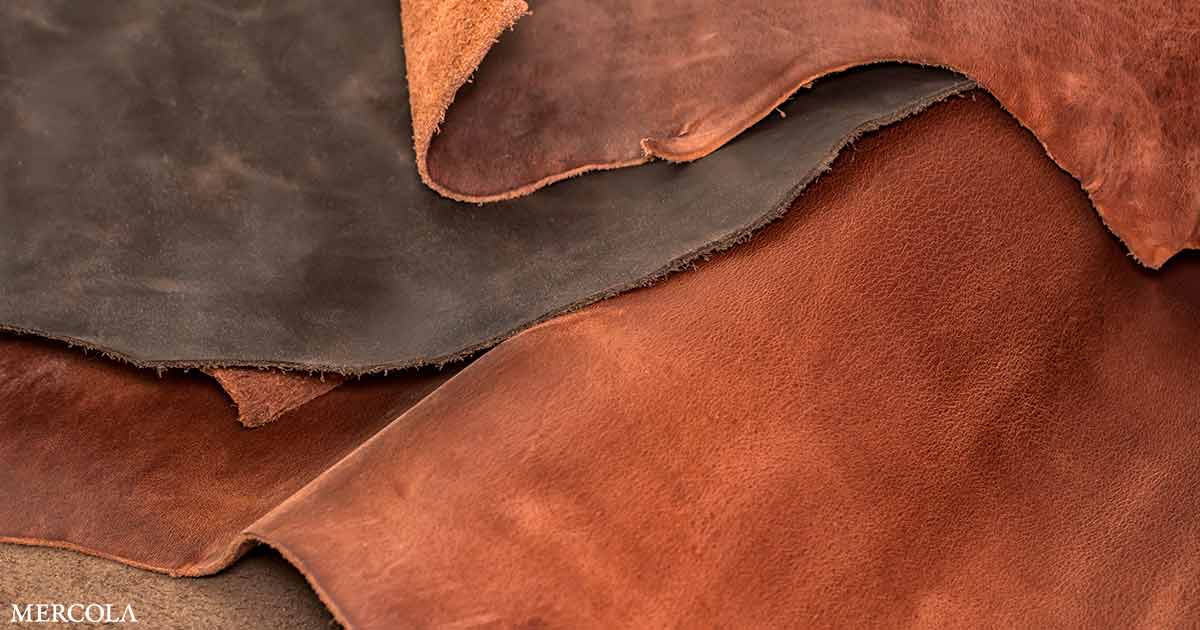 The Dangers Lurking Beneath Leather