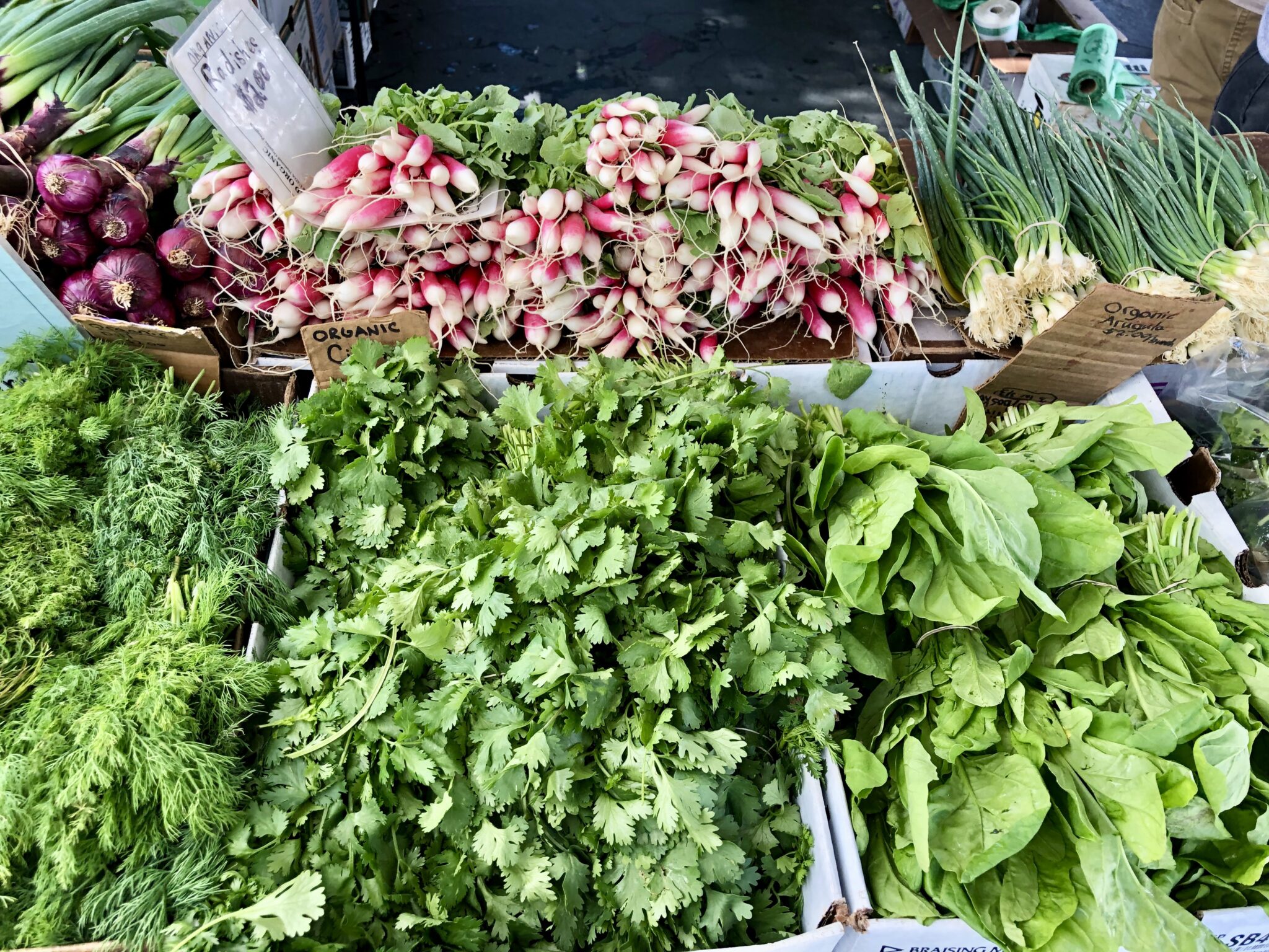 What Is a CSA? - Sharon Palmer, The Plant Powered Dietitian