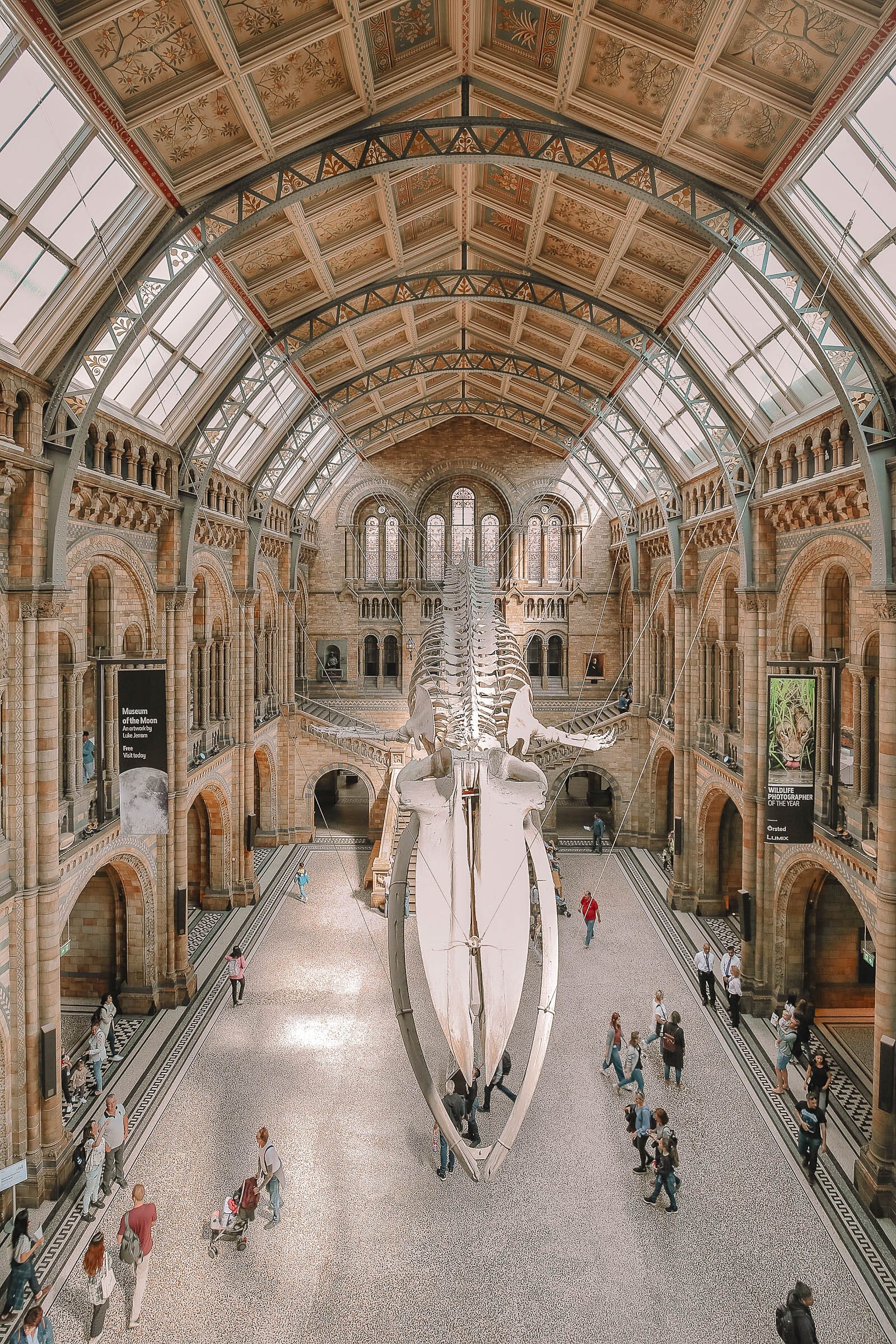 13 Best Museums In London To Visit For Free