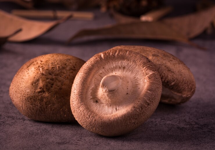 Negative Effects Of Portobello Mushrooms: The Hidden Dangers | Credihealth