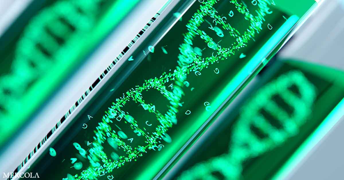 Scientists Sound the Alarm on New Gene-Editing Pesticides