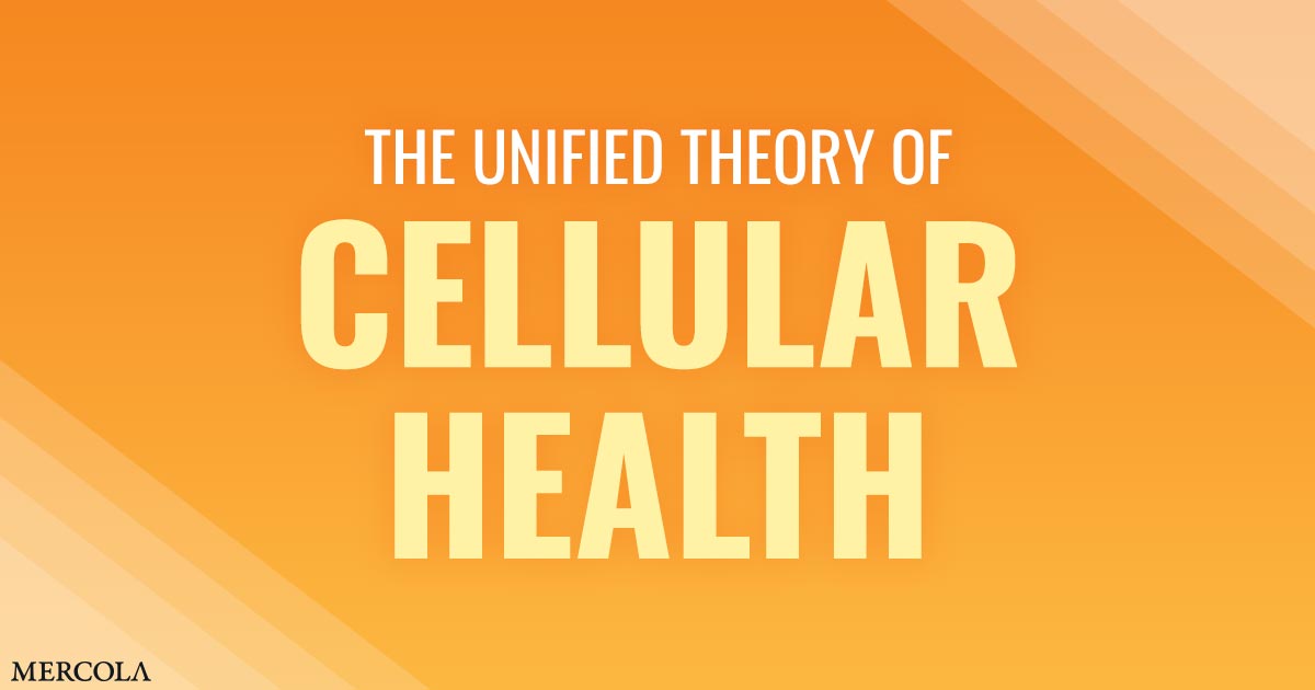 Uncovering the Root Causes of Disease and Premature Death