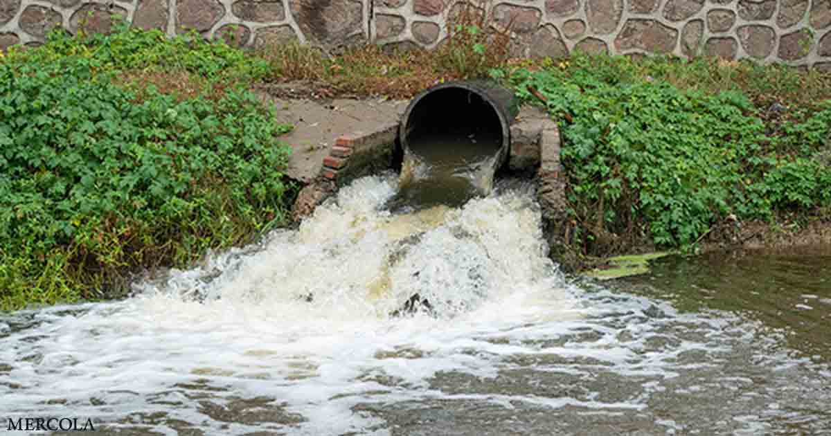 Untreated Sewage - A Global Environmental Threat