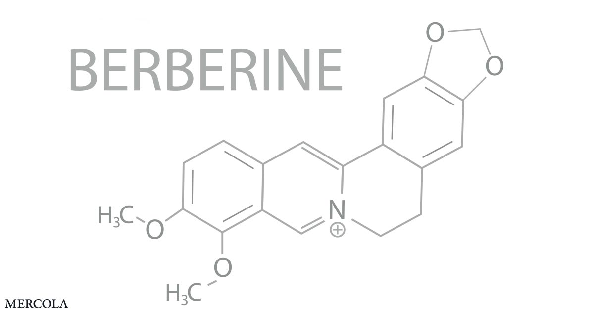 The Neuroprotective Benefits of Berberine