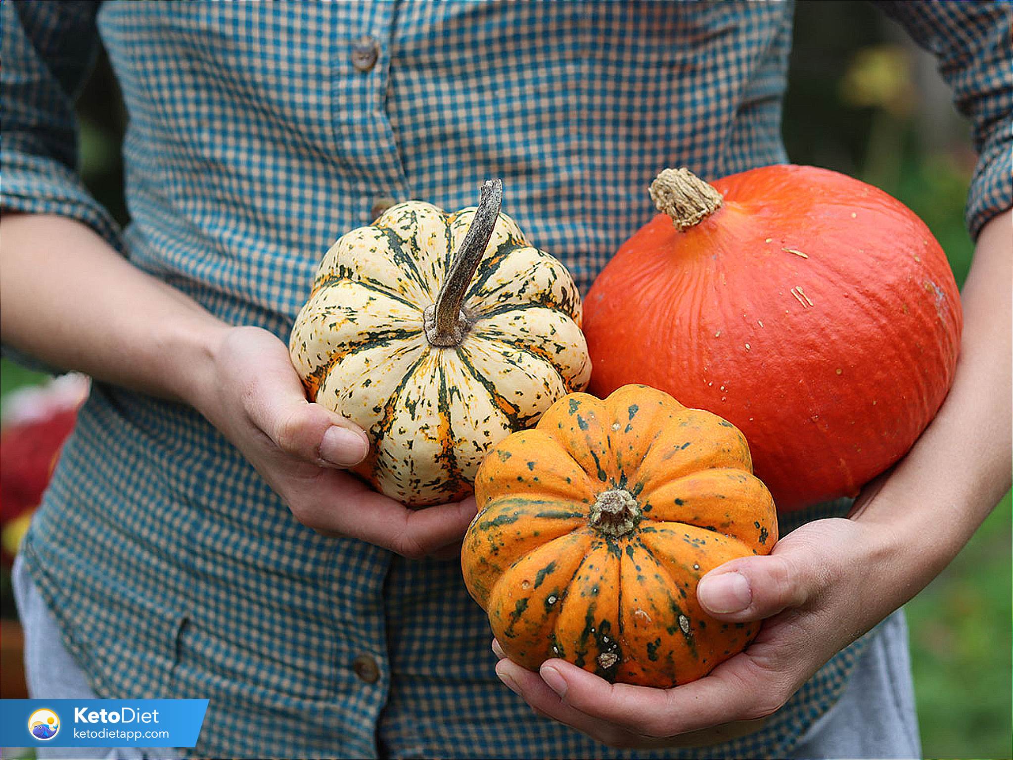 The Ultimate Guide to Squash: Low-Carb Varieties, Carb Counts, and How to Cook Them | KetoDiet Blog
