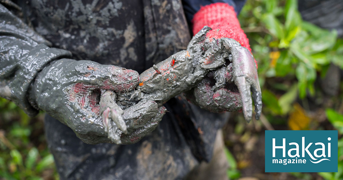 Trapped in the Tide of Organized Crime | Hakai Magazine