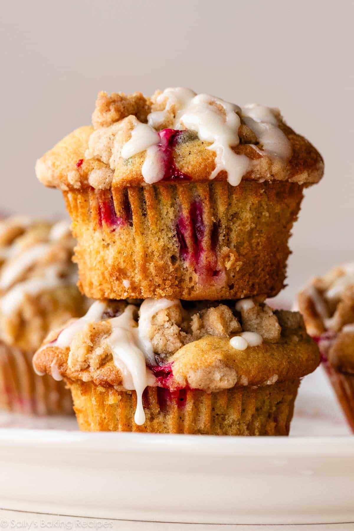 Cranberry Orange Muffins - Sally's Baking Addiction
