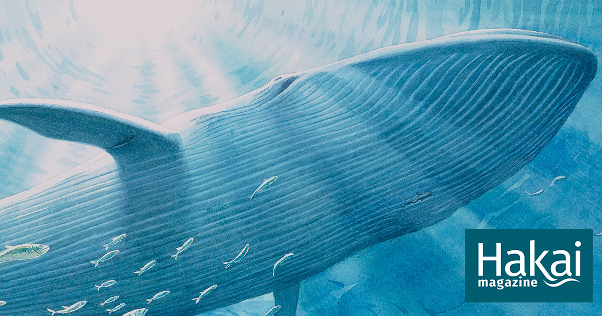 Little Books with Big Subjects | Hakai Magazine