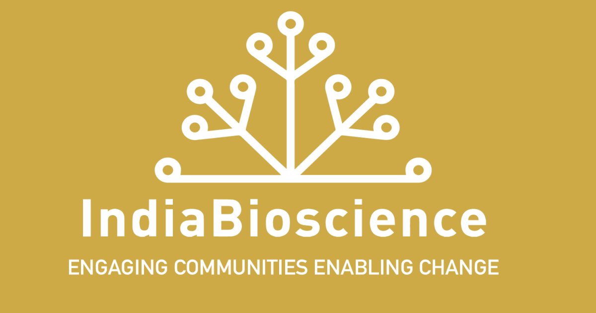 Senior Research Associate