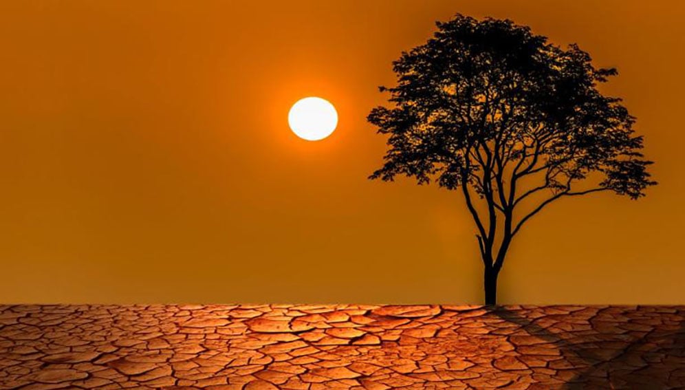 WMO depiction of warmed year 2024