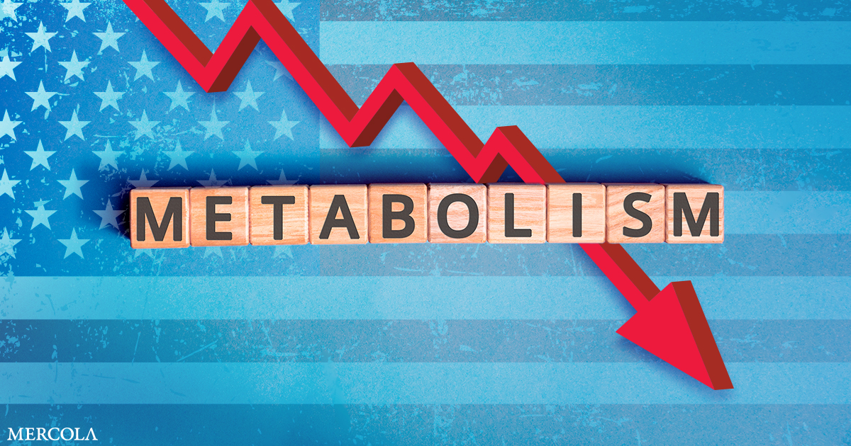 Americans' Metabolism Is Declining