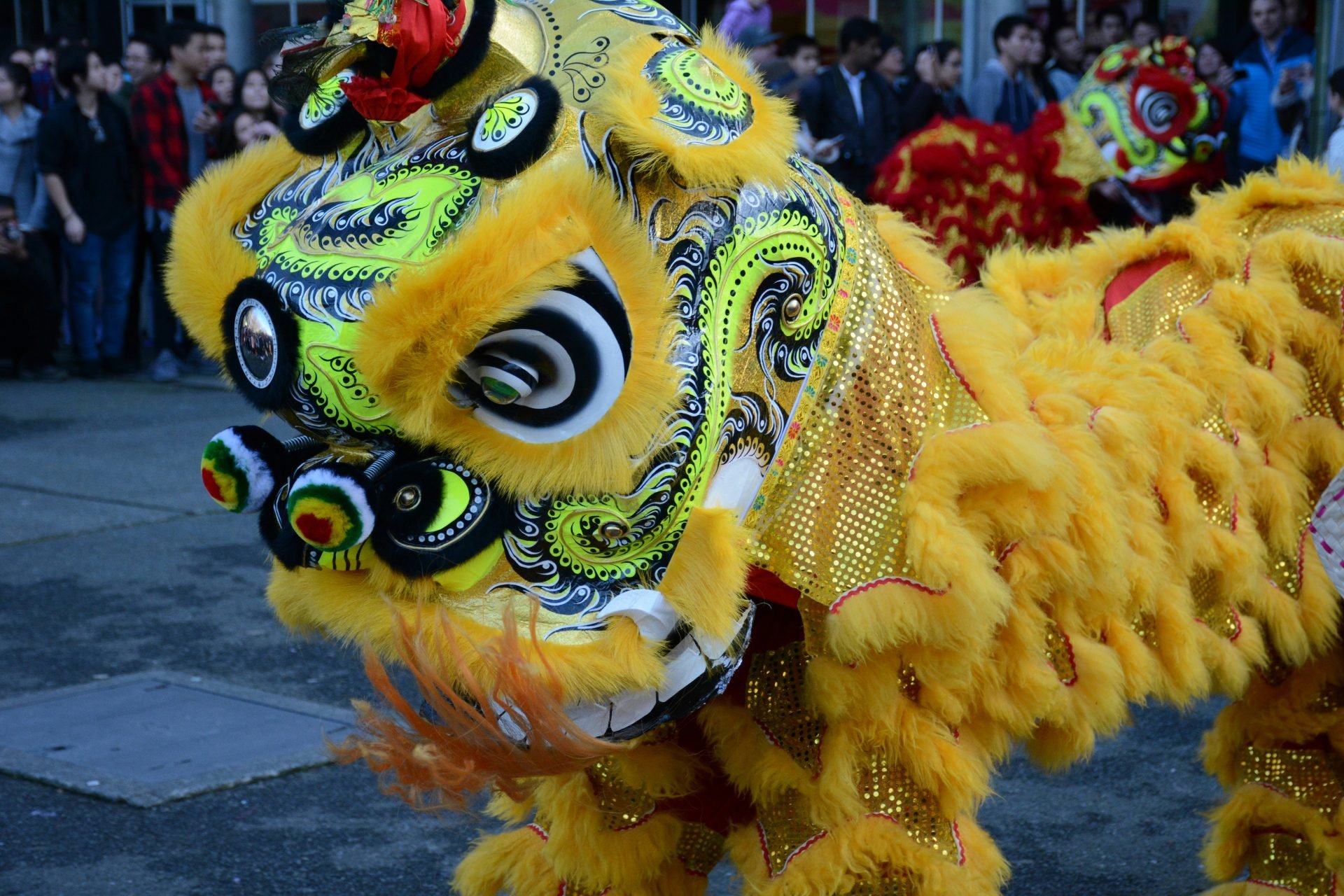 Lion dance at the Chinese New Year celebration.