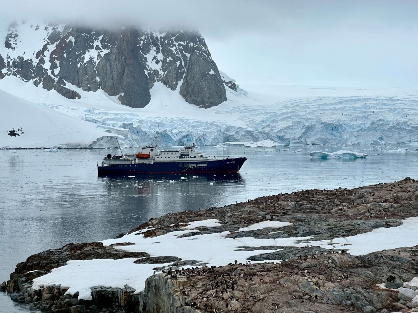 How to Plan a Trip to Antarctica - Travel Dudes