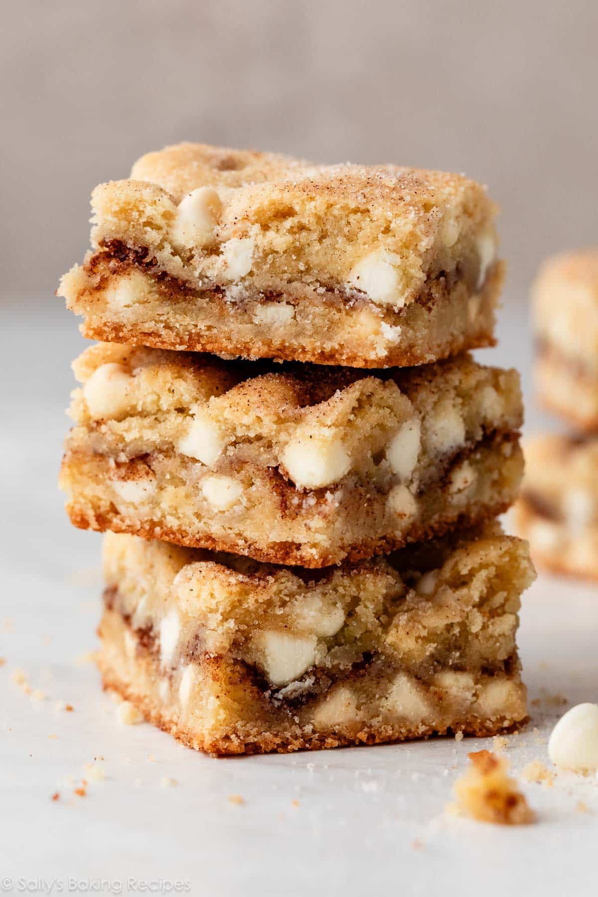 Snickerdoodle Blondies - Sally's Baking Addiction
