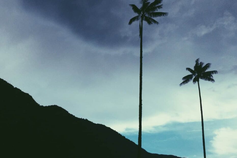 8 stunning Colombian travel spots for 2025