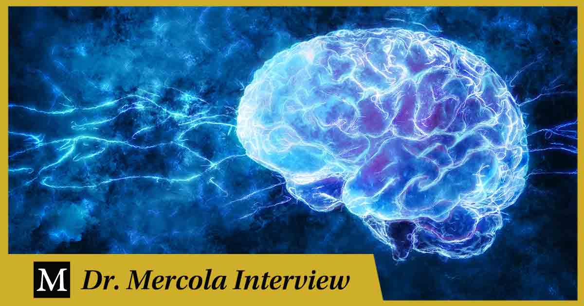 How to Prevent and Address Alzheimer's Disease