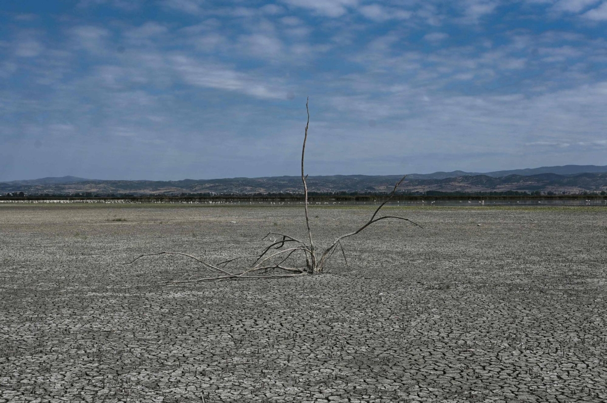 Record heat pushed 2024 above global warming threshold of 1.5 C