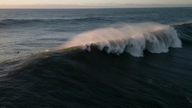 Rogue waves are little known and can kill. Here's why they're so dangerous | CBC Radio