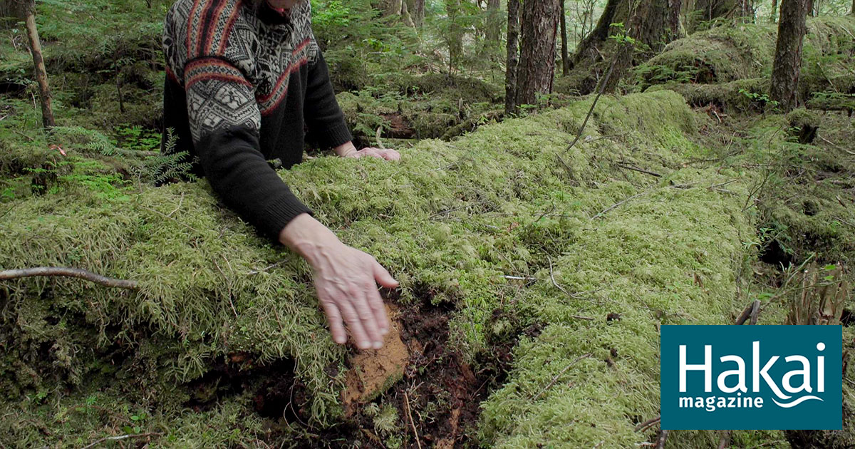 The Canoe in the Forest | Hakai Magazine