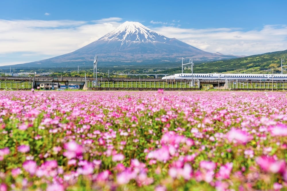 Traveling in Japan With Kids to see Mount Fuji.