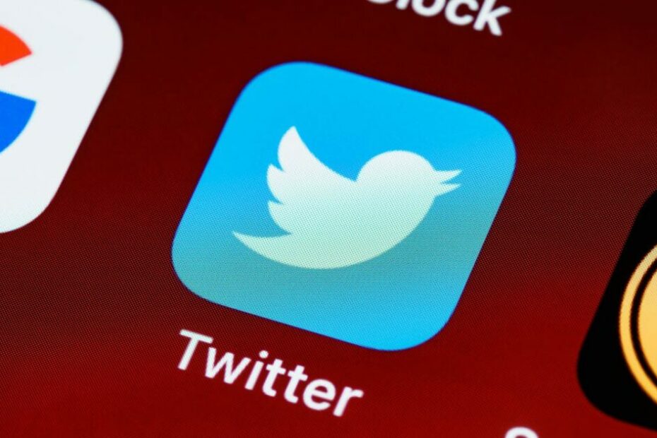 48 X (Twitter) Ads Statistics You Should Know in 2025 - Spiralytics