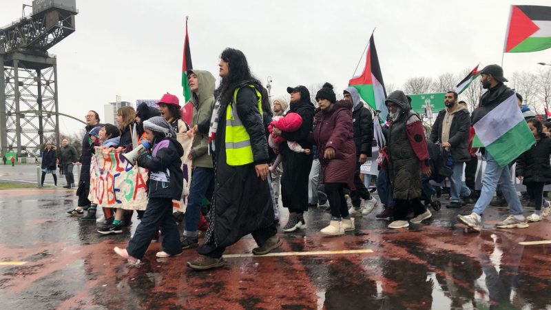 68 MPs and peers urge Lammy to slam Trump's Gaza 'ethnic cleansing' plan - LabourList