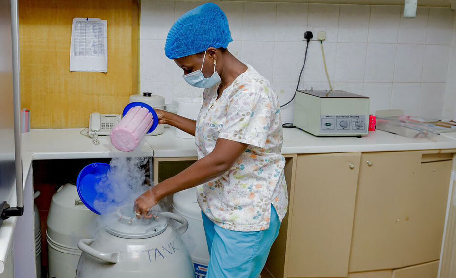 Storing sperm in liquid nitrogen tank.