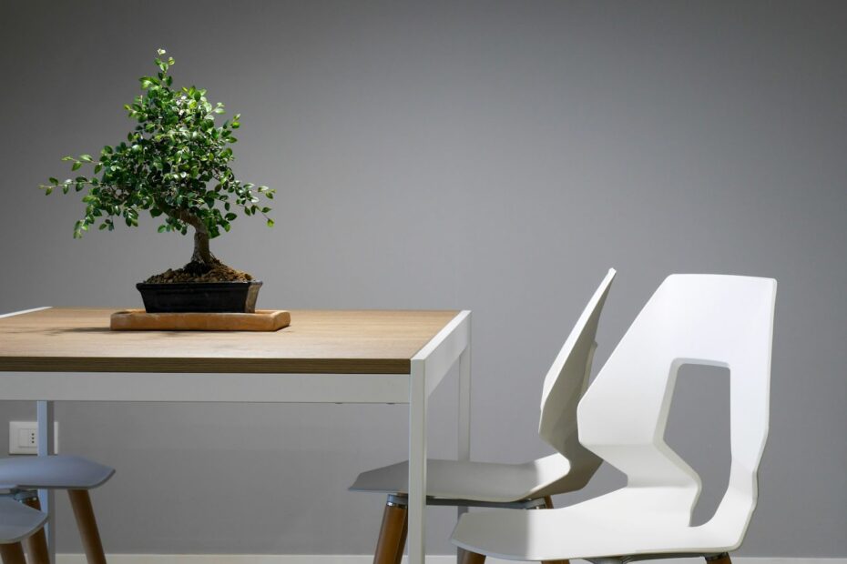 Bring the Outdoors Inside: How to Connect Your Home with Nature