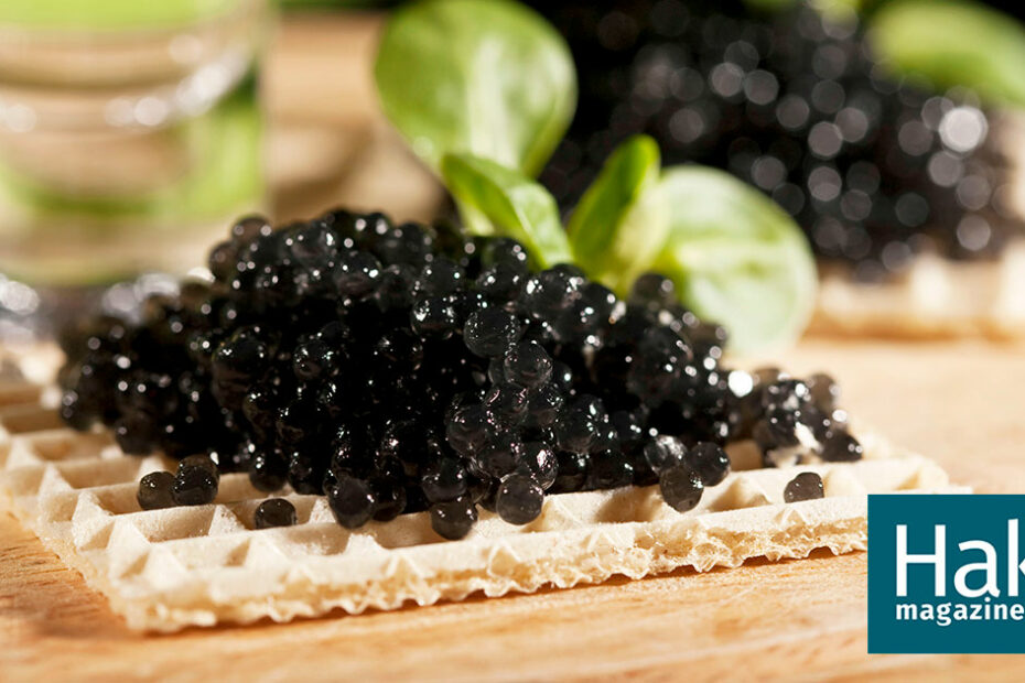 Caviar Pizzas, New Money, and the Death of an Ancient Fish | Hakai Magazine