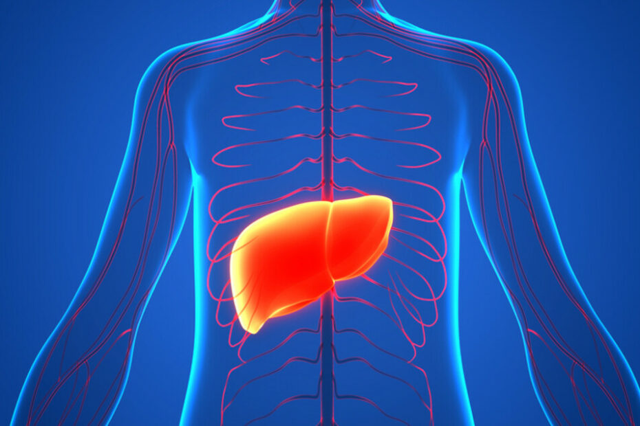 Colangiocarcinoma, al via corsi per i medici di base per aumentare le diagnosi precoci - Focus Tumore news - Ansa.it